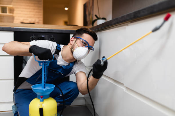Best Wildlife Control Services  in Cowan, TN