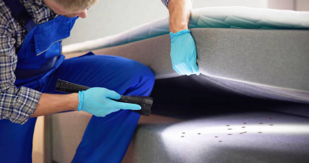 Best Cockroach Control Services  in Cowan, TN