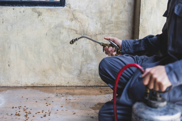 Best Best Pest Control Companies  in Cowan, TN
