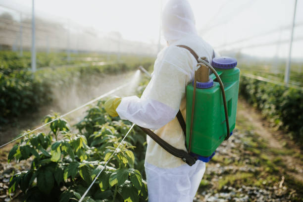 Best Ant Control Services  in Cowan, TN